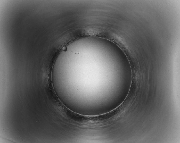 X0000088690737200706071519