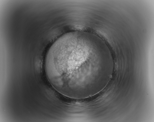 X0000088690739200706071519