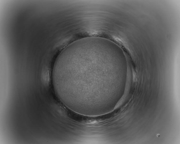 X0000088690740200706071519