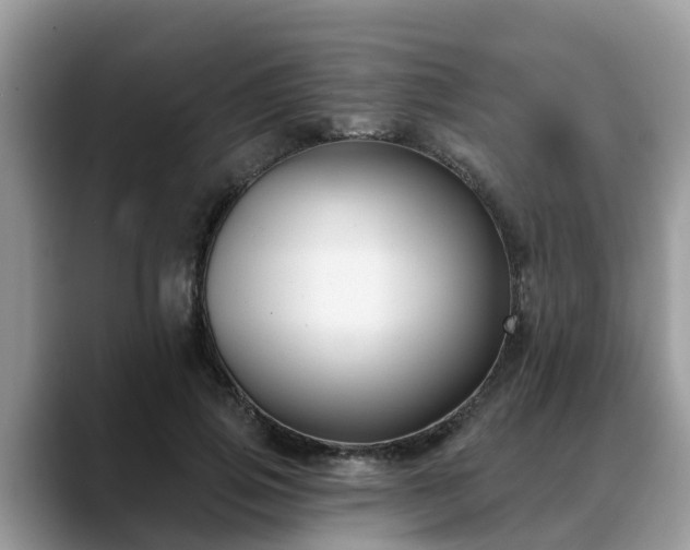 X0000088690741200706071519