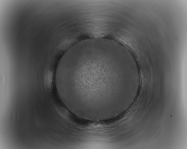X0000088690742200706071519