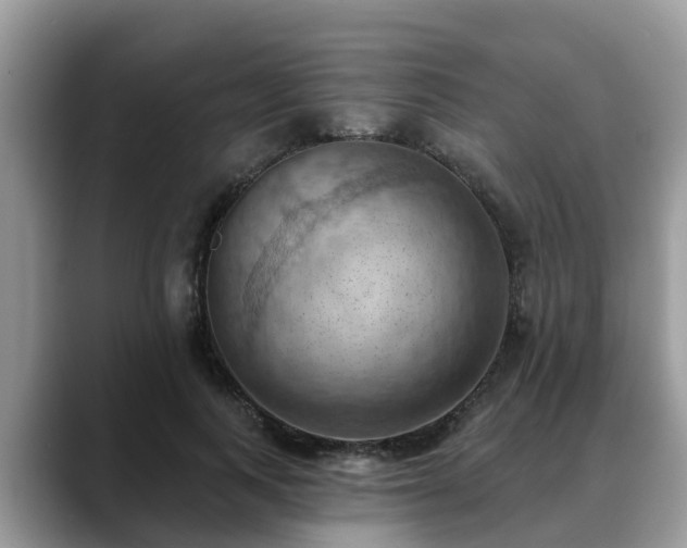X0000088690743200706071519