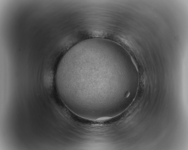 X0000088690744200706071519