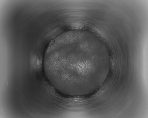 X0000088690745200706071519