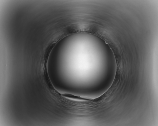 X0000088690746200706071519