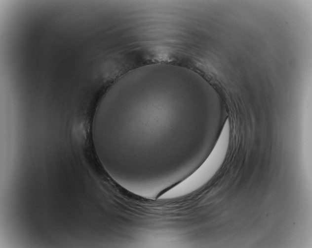 X0000088690747200706071519