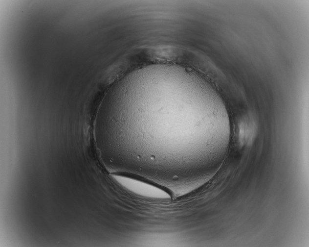 X0000088690749200706071519