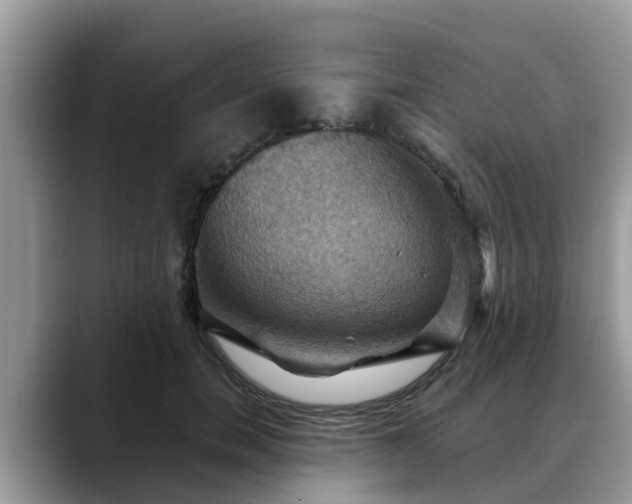 X0000088690750200706071519