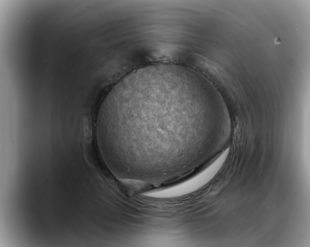 X0000088690751200706071519