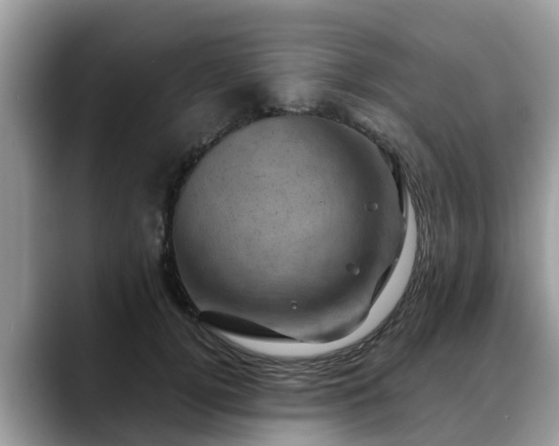 X0000088690752200706071519