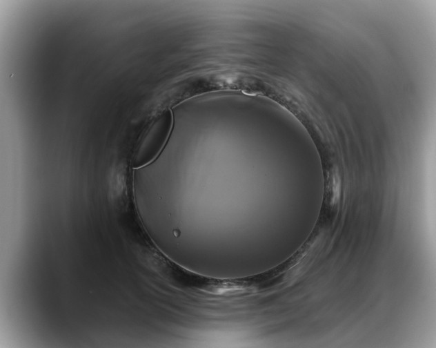 X0000088690754200706071519
