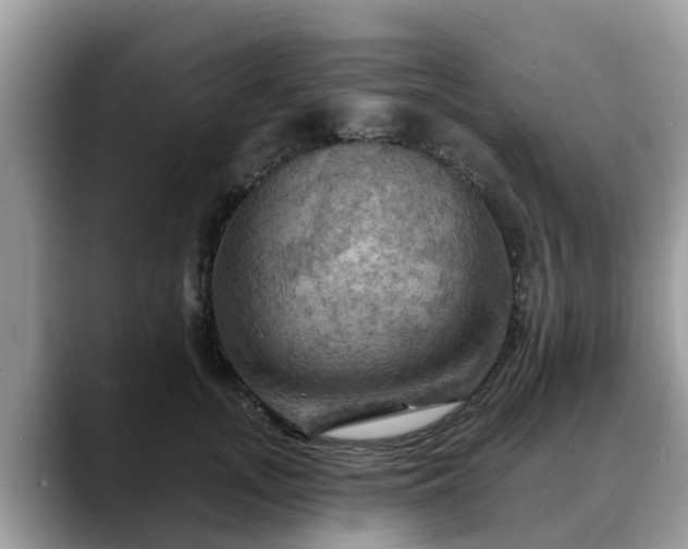 X0000088690755200706071519