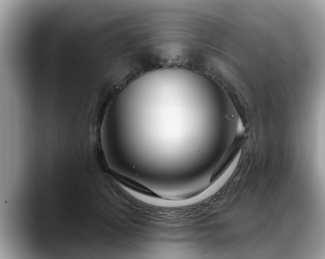 X0000088690756200706071519