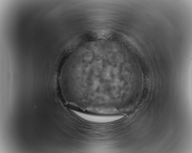 X0000088690757200706071519