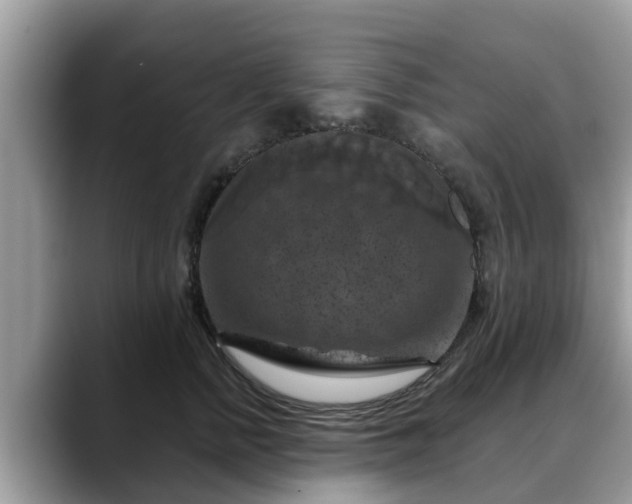 X0000088690758200706071519