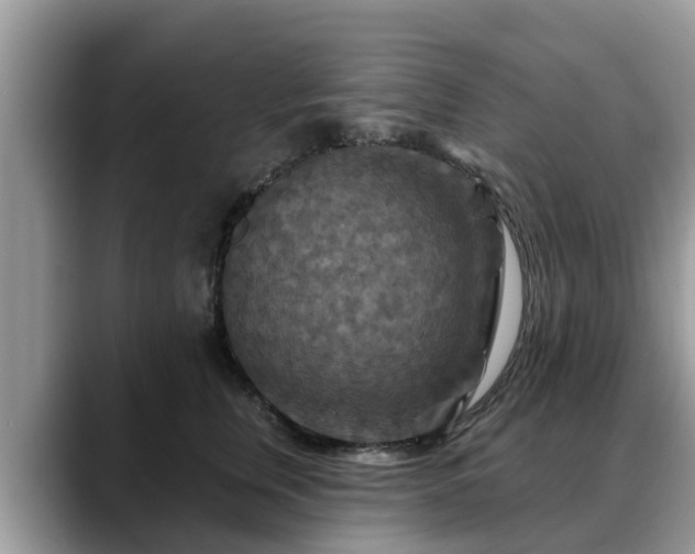 X0000088690759200706071519
