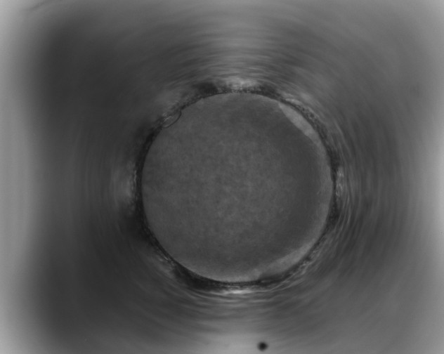 X0000088690760200706071519