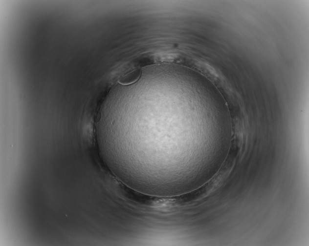X0000088690761200706071519