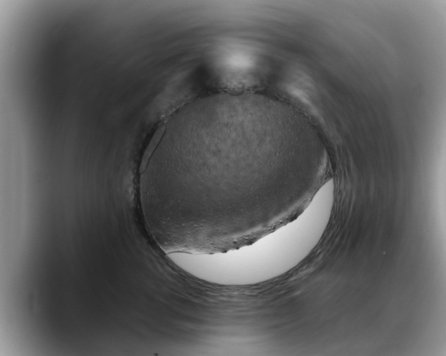 X0000088690762200706071519