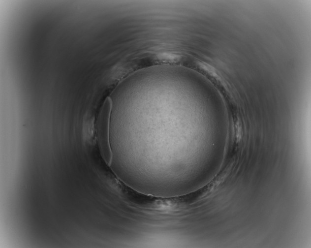 X0000088690764200706071519