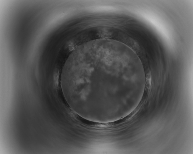 X0000088690765200706071519