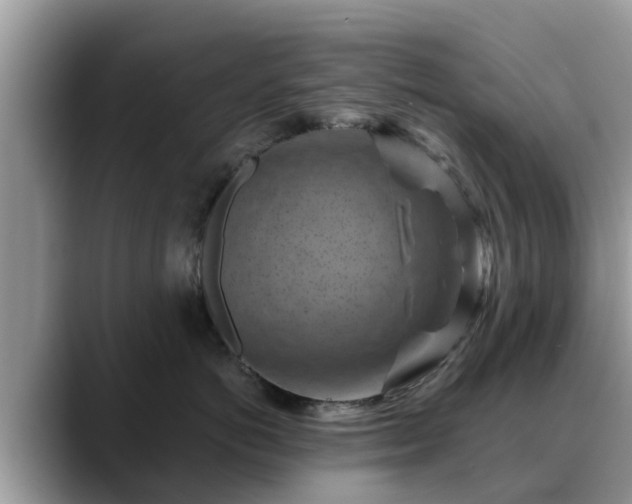 X0000088690766200706071519