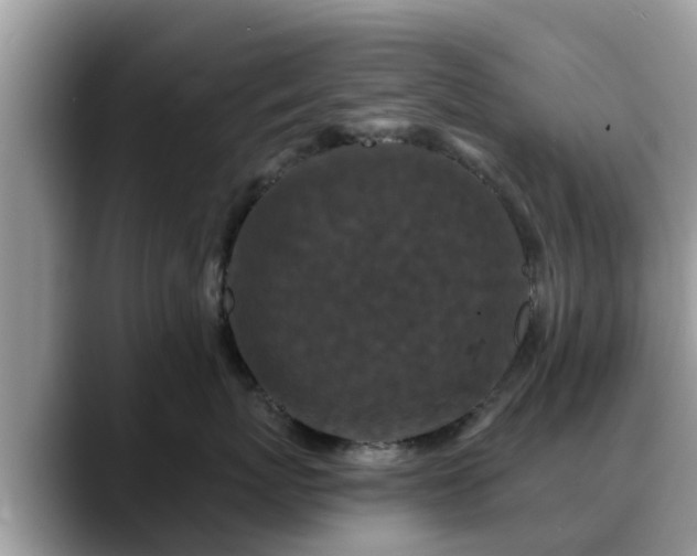 X0000088690767200706071519