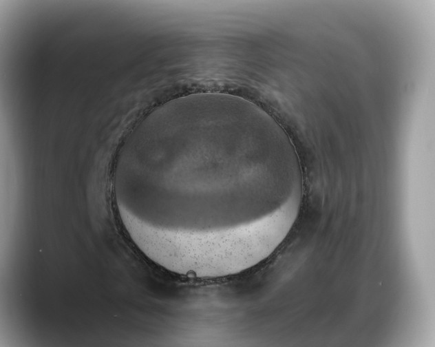 X0000088690769200706071519