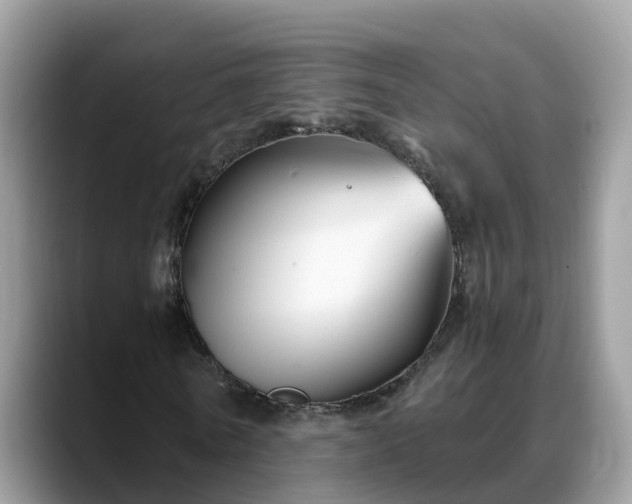 X0000088690770200706071519