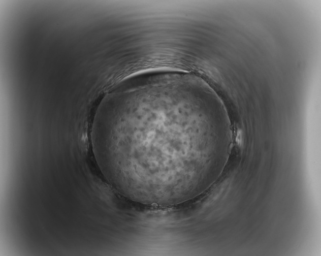 X0000088690771200706071519