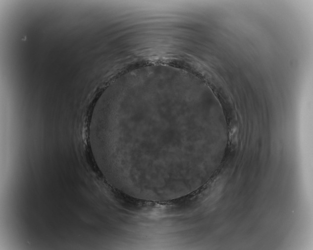 X0000088690772200706071519