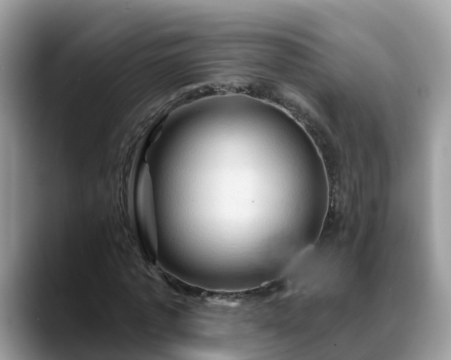 X0000088690773200706071519