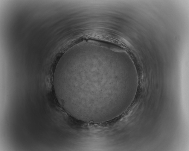 X0000088690774200706071519