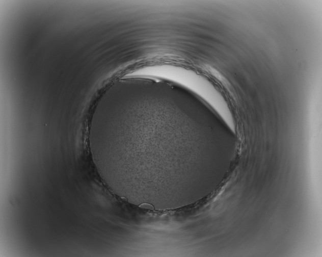 X0000088690775200706071519
