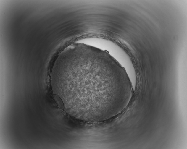 X0000088690776200706071519