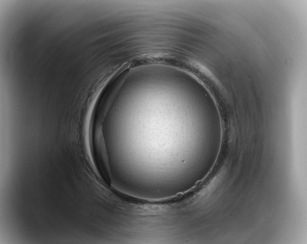 X0000088690777200706071519