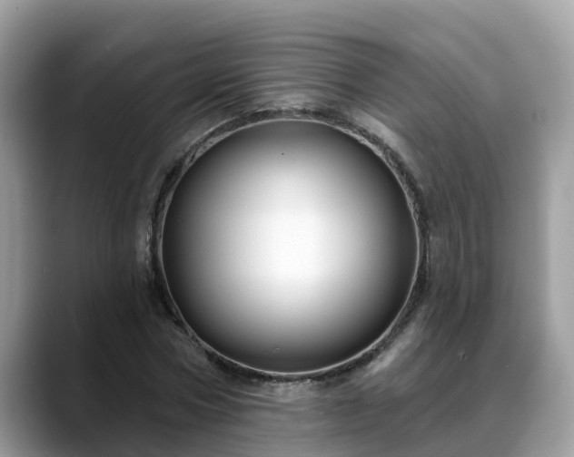 X0000088690778200706071519
