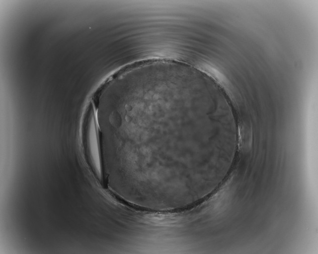 X0000088690780200706071519