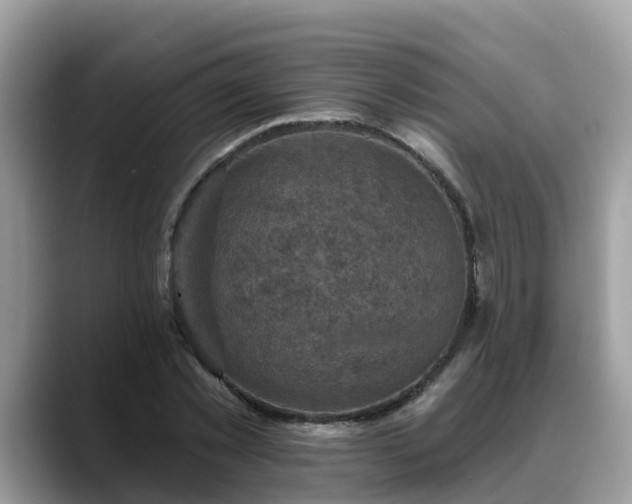 X0000088690781200706071519