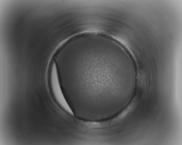 X0000088690783200706071519