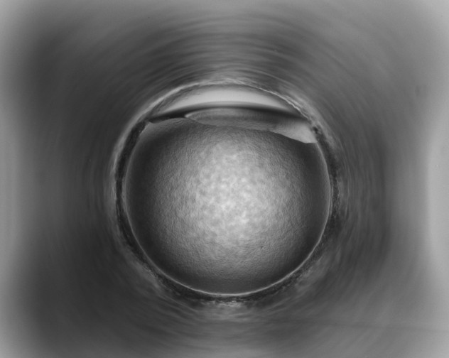 X0000088690784200706071519
