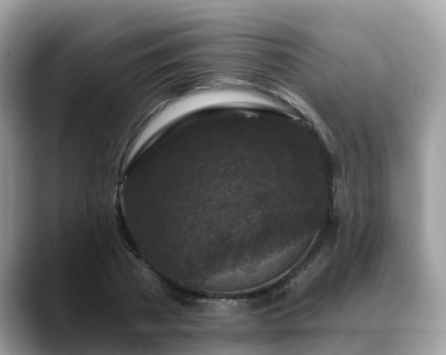 X0000088690785200706071519