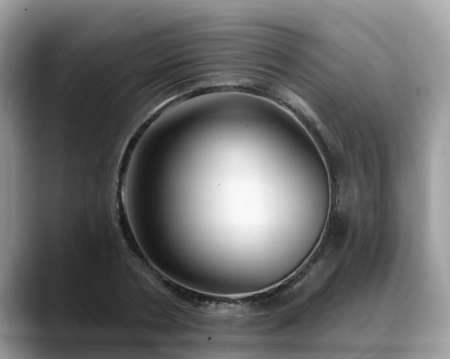 X0000088690786200706071519