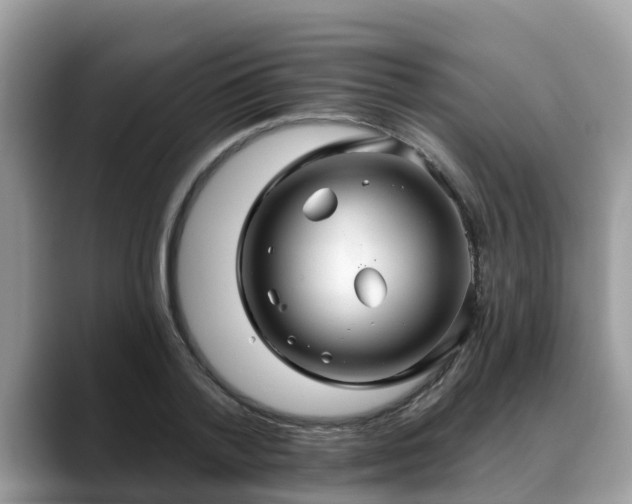 X0000088690788200706071519