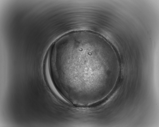 X0000088690789200706071519
