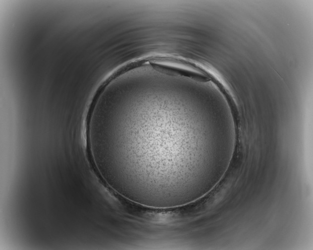 X0000088690791200706071519