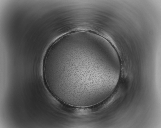 X0000088690795200706071519