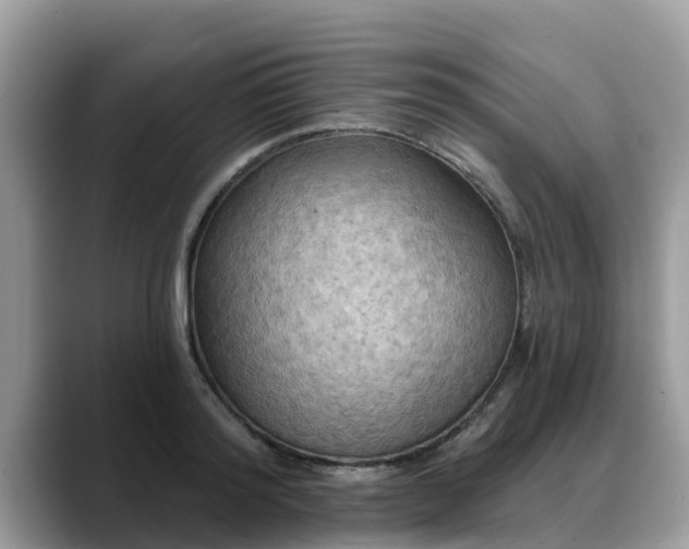 X0000088690796200706071519