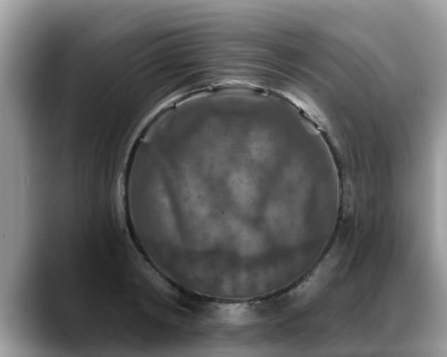 X0000088690798200706071518