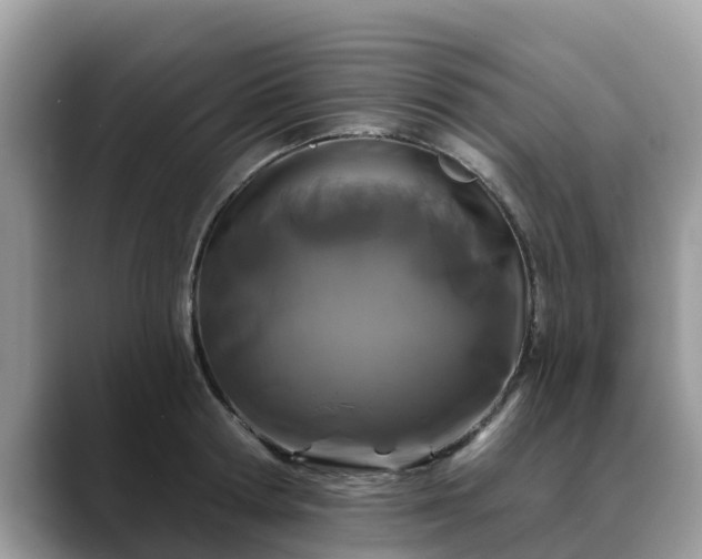 X0000088690802200706071518